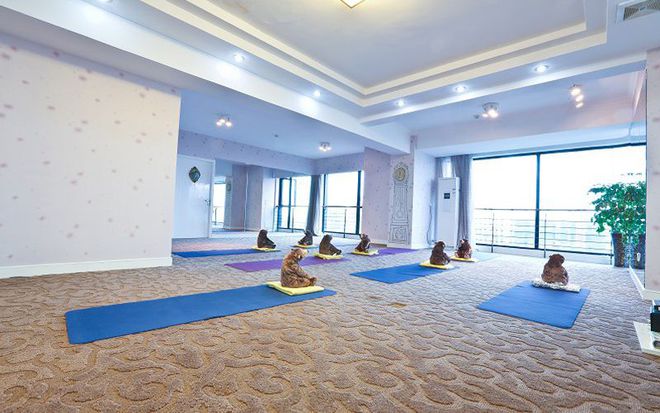 杭州瑜伽导师培训9博体育超出的你预期值的瑜伽练习益处(图2)