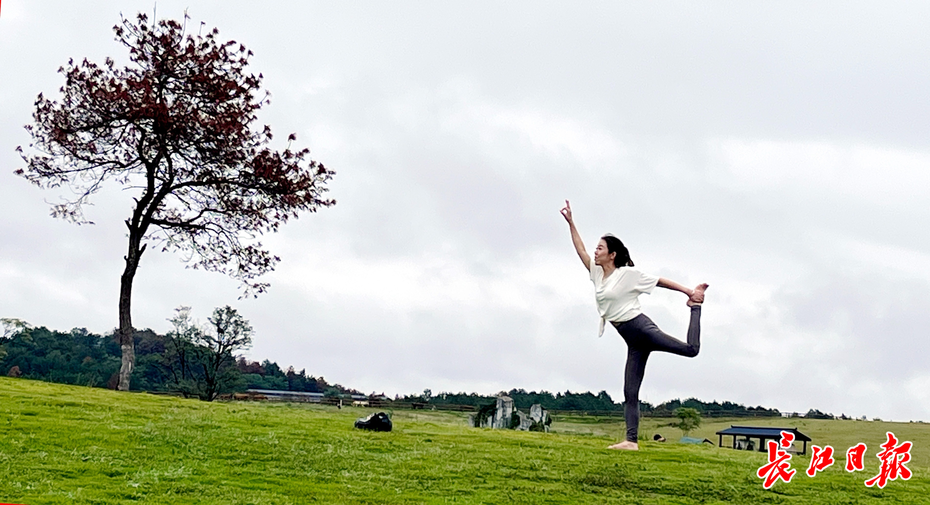 健身瑜伽为木兰草原的秋日添一抹亮色9博体育(图1)