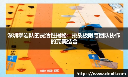 bevictor伟德官网下载