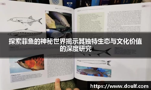 探索菲鱼的神秘世界揭示其独特生态与文化价值的深度研究